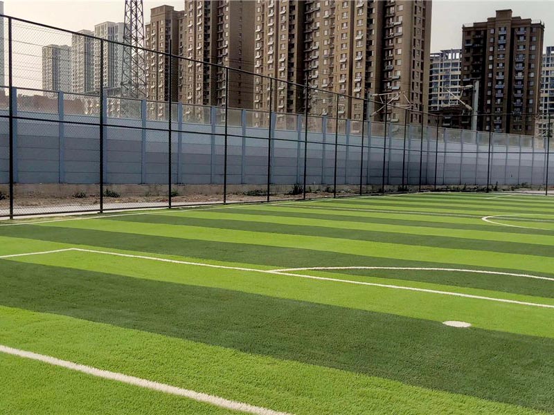 1636787592338070.jpg 101.jpg