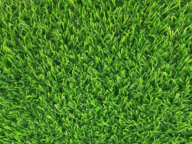 1639131559963785.jpg 201.jpg