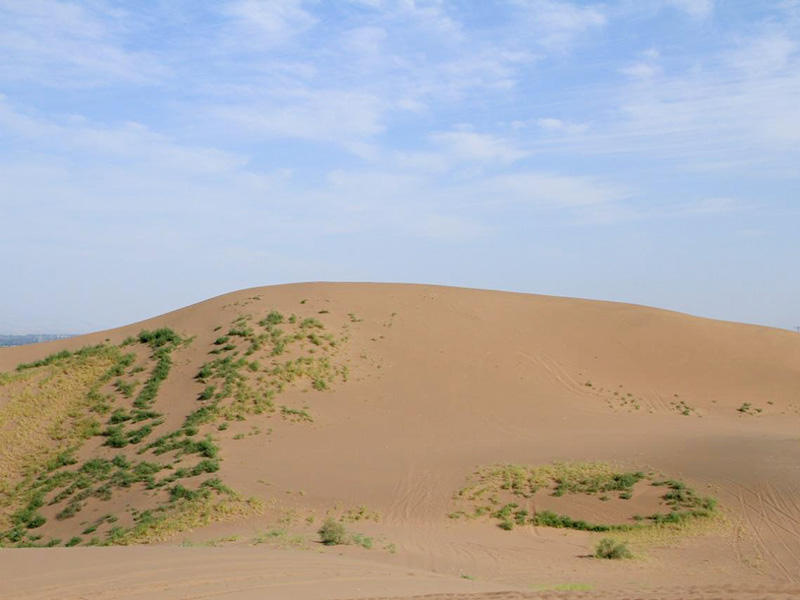 1641891282406812.jpg 1.jpg