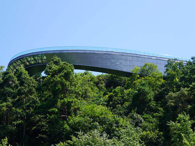 1641976572660301.jpg 14.jpg