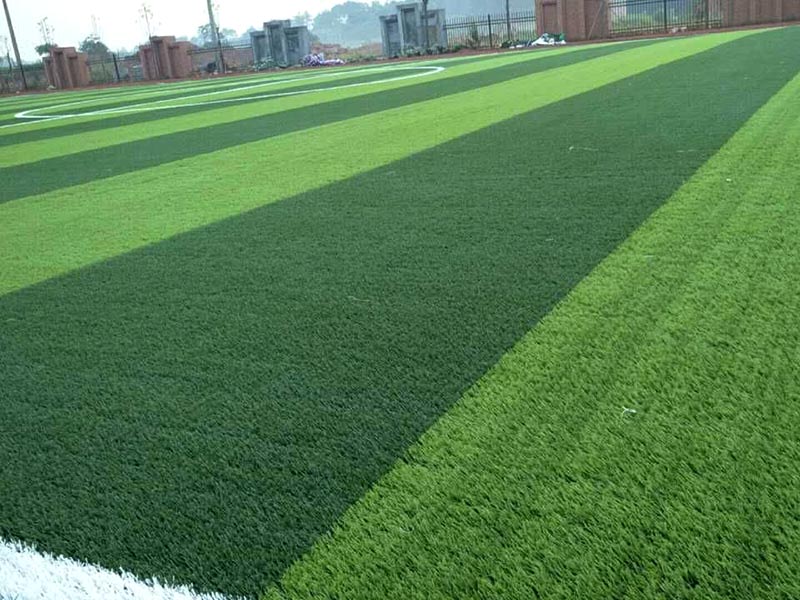 1646218716415799.jpg 204.jpg