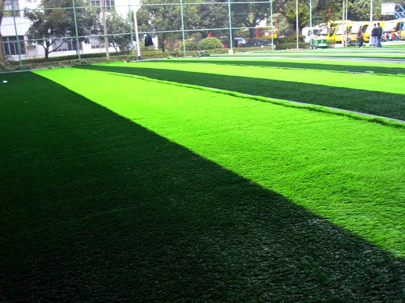 1646218727825057.jpg 205.jpg